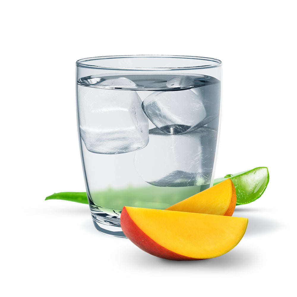 Herbal Aloe Concentrate - Mango 1892 ml